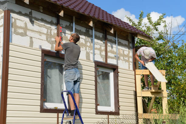 Best Fascia and Soffit Installation  in Affton, MO